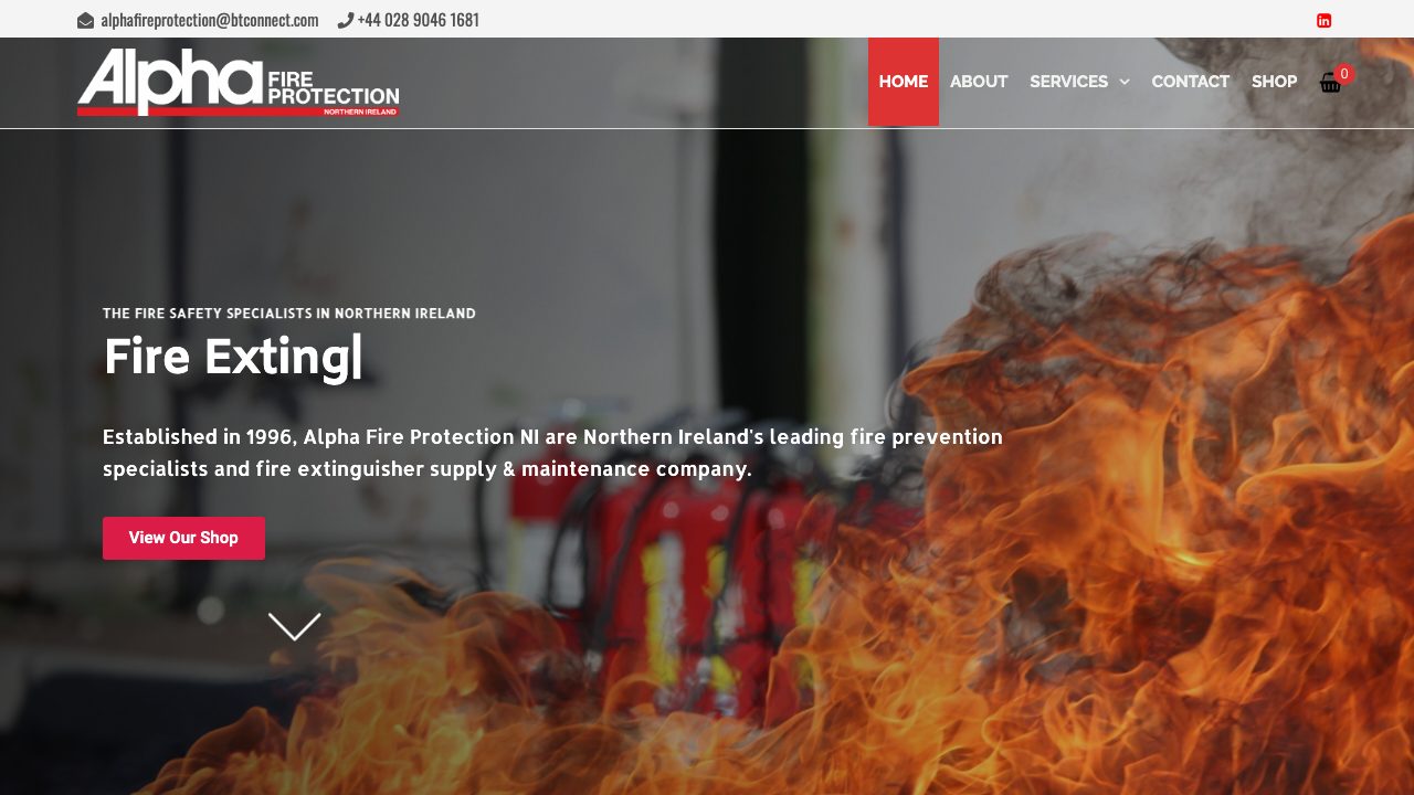Alpha Fire Protection NI website