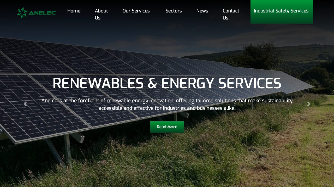 Anelec Group Ltd website