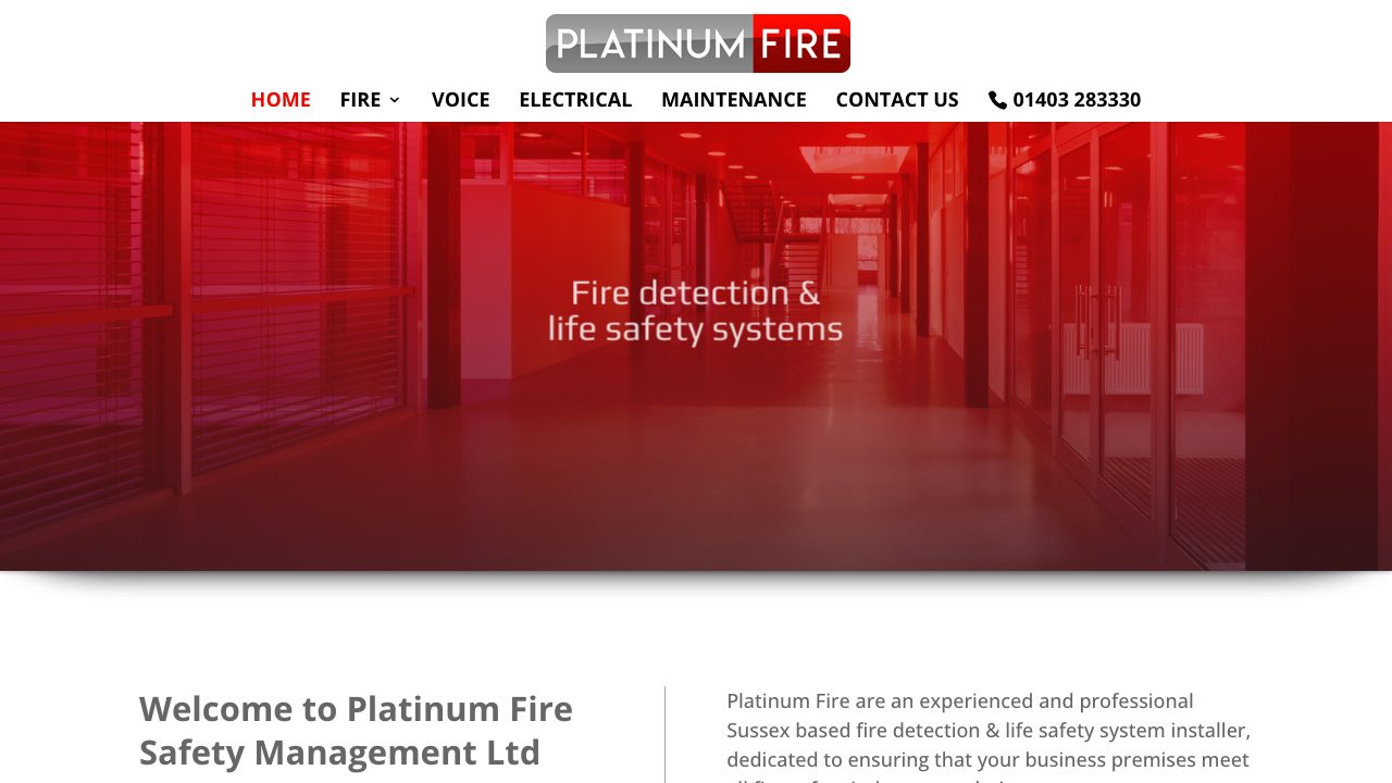 Platinum Associates Ltd website