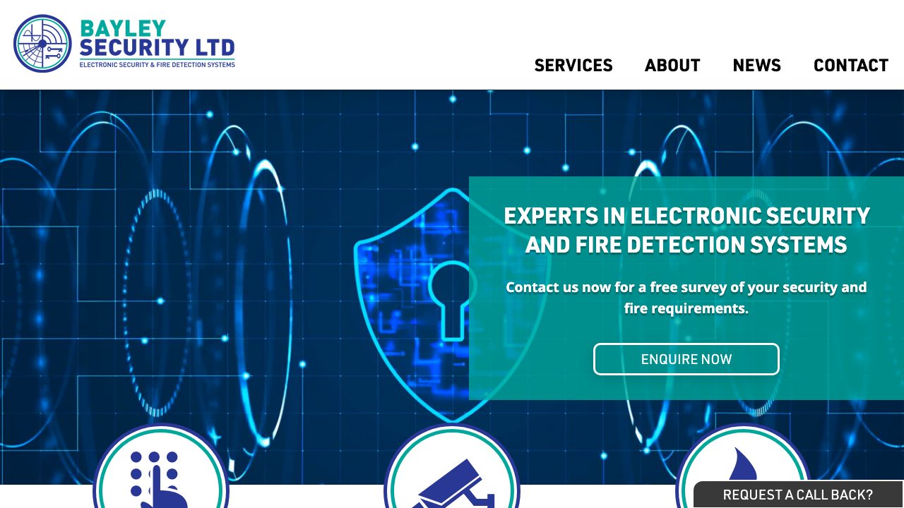Bayley Security Ltd website