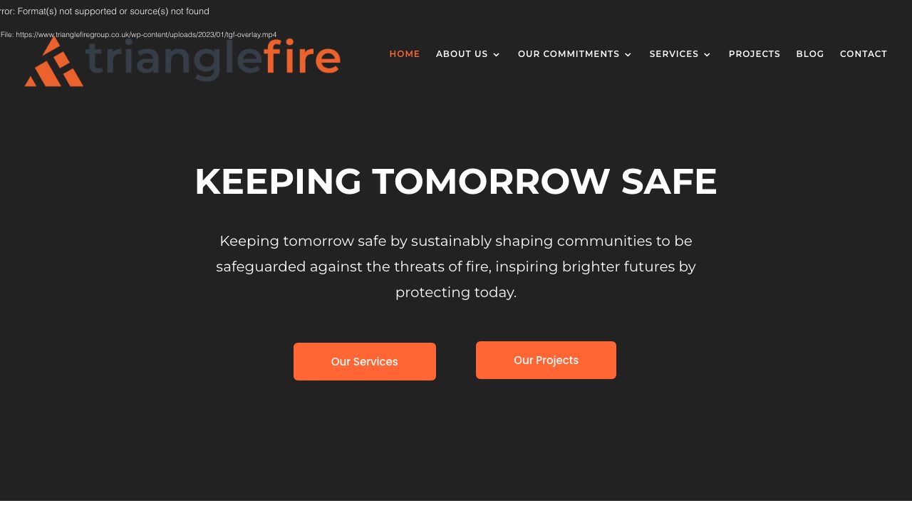 Trilex Services Ltd website