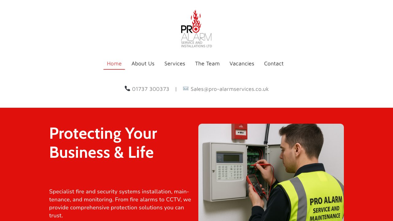 Pro-Alarm Service & Installations Ltd website