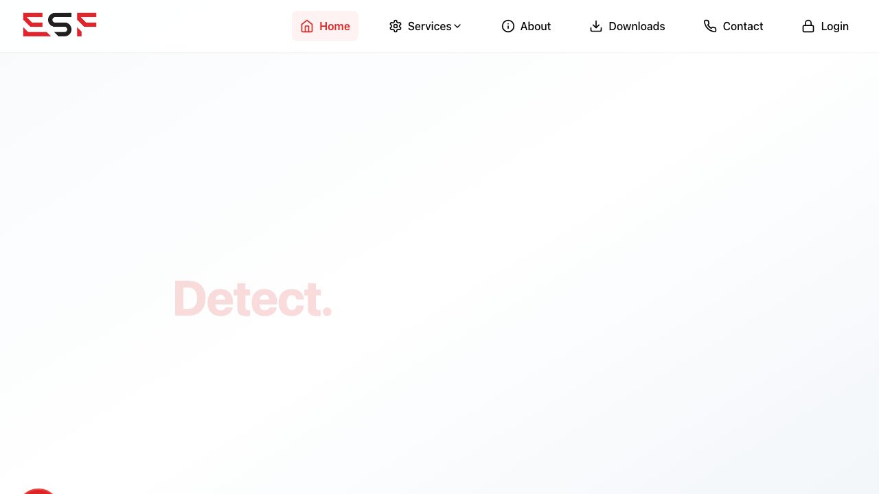 ESF Technologies Ltd website