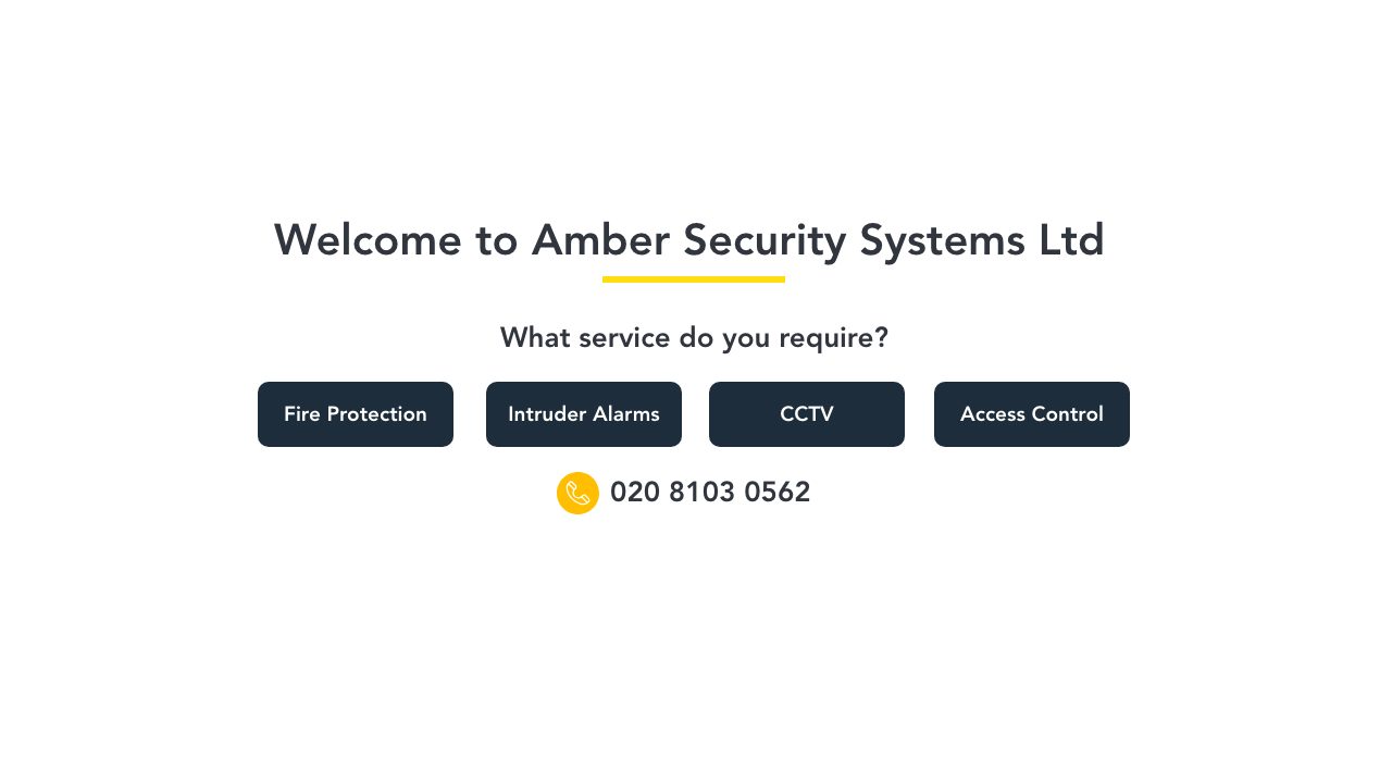 Amber Security Systems Ltd website
