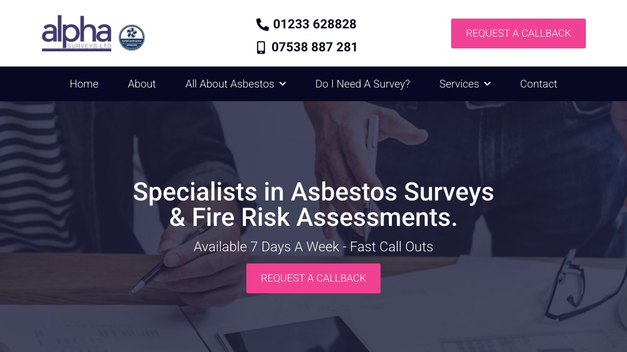 Alpha Surveys Ltd website