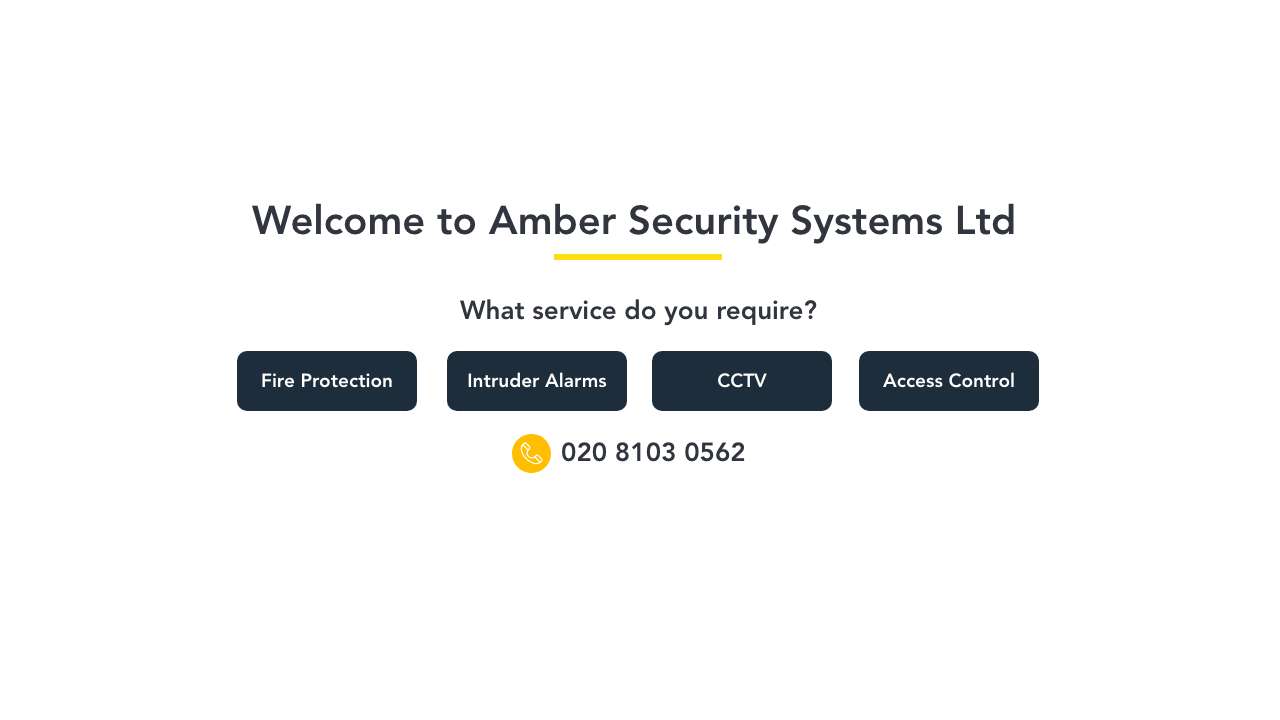 Amber Security Systems Ltd